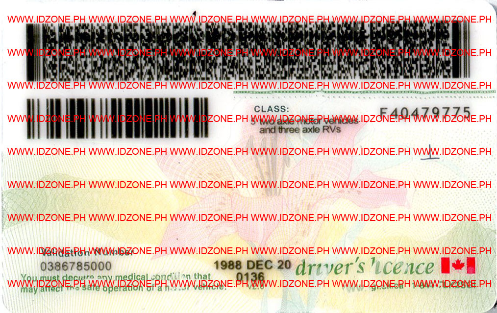 best-fake-id-Canada-Saskatchewan-id