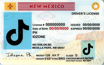 NEW MEXICO-New Scannable fake id