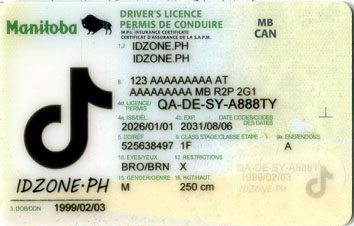 Manitba-MB buy fake id