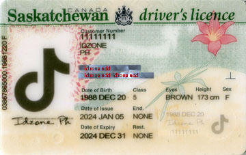 Saskatchewan buy fake id