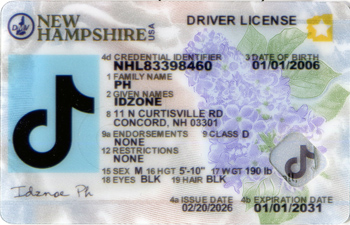 NEW HAMPSHIRE(2026 new NH) Scannable fake id